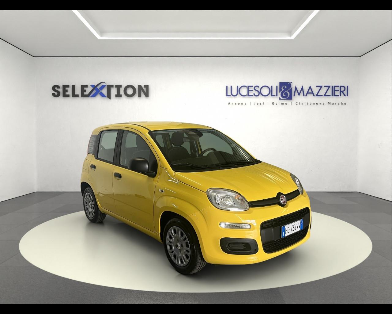 FIAT Pandina - Pandina 1.0 FireFly 65 CV Hybrid Pop