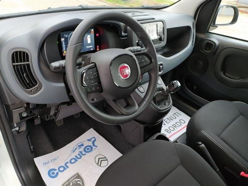 FIAT Panda 1.0 70cv Hybrid Promo CBC 5