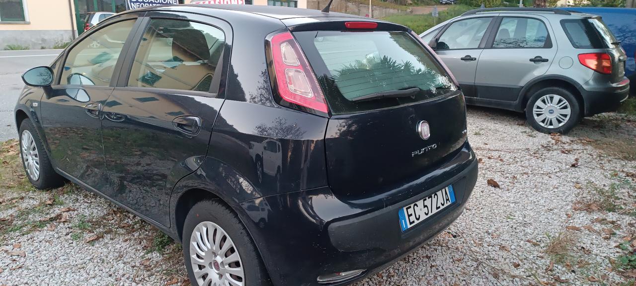 Fiat Punto Evo Punto Evo 1.2 5 porte Dynamic