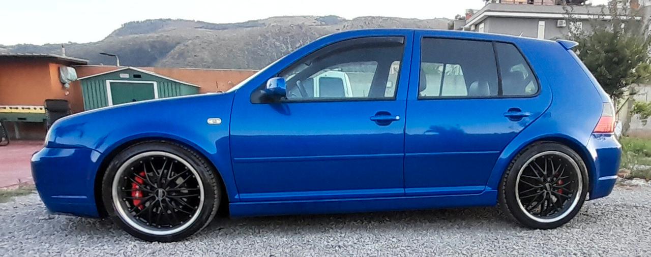 Volkswagen Golf 1.9 TDI/101 CV cat 5p. Comfortline