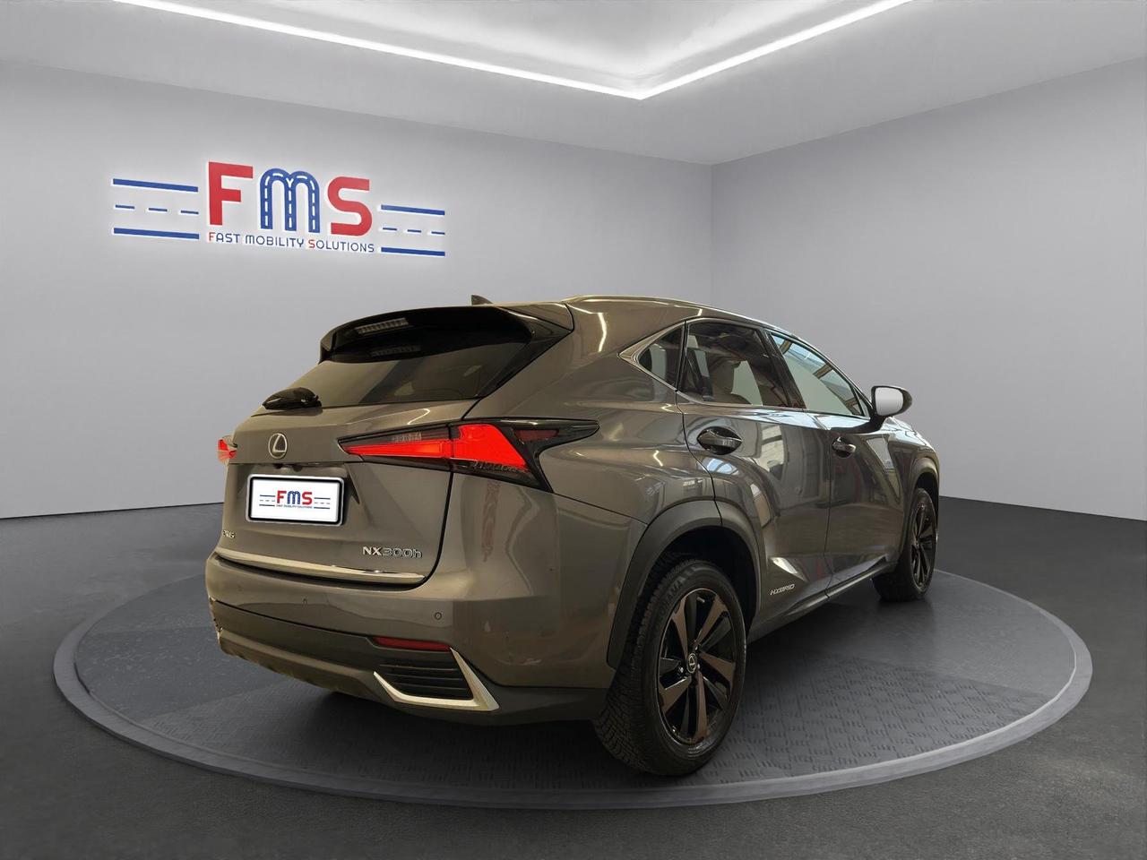 Lexus NX 300h 2.5 Premium 4wd cvt