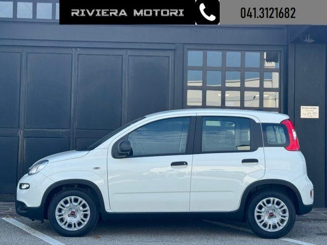 FIAT Panda 1.0 FireFly S&S Hybrid My24 TUA A 99 ?/mese*