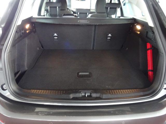 FORD Focus 1.5 EcoBlue 120 CV automatico SW Business Co-Pilot