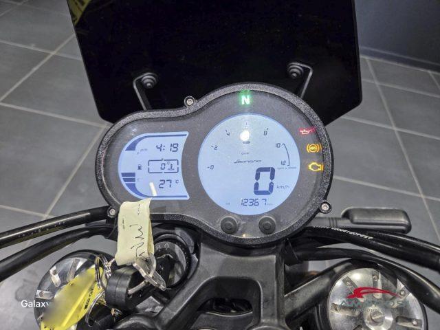 BENELLI Leoncino 500