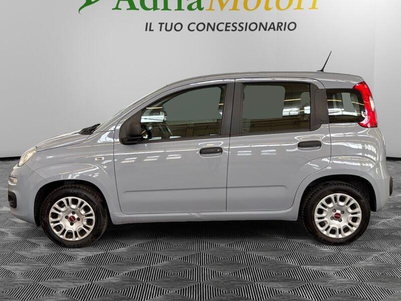 FIAT Panda 1.2 69cv S&S E6d-Temp Lounge