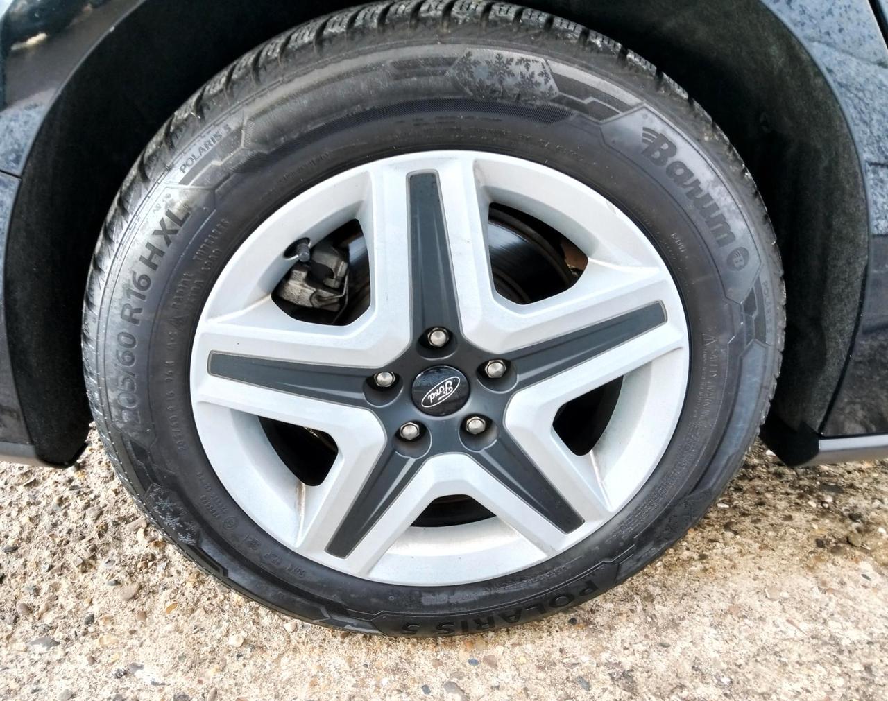 Ford Focus Wagon Focus SW 1.5 ecoblue Business 120cv