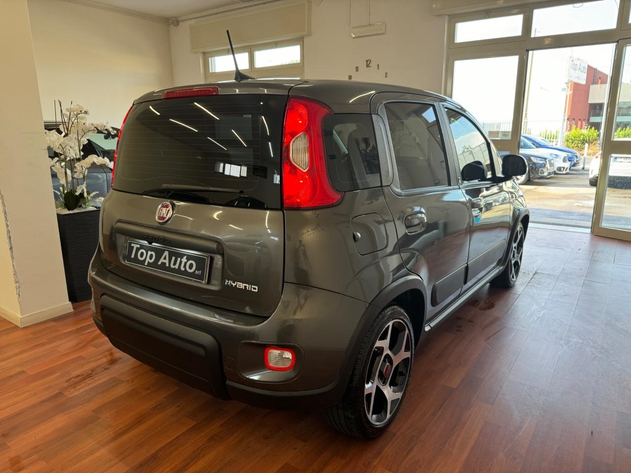 FIAT PANDA 1.0 FireFly S&S HYBRID SPORT - 2021