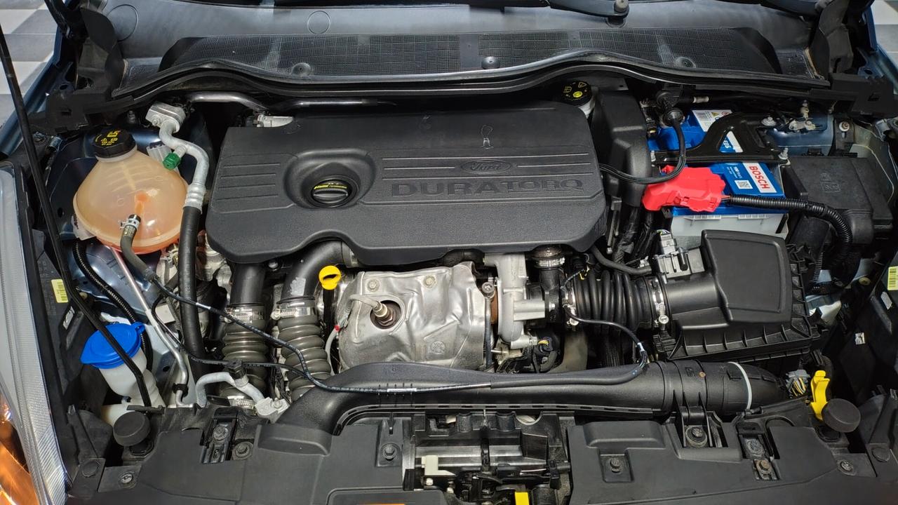 Ford Fiesta 1.5 TDCi 5 porte Plus