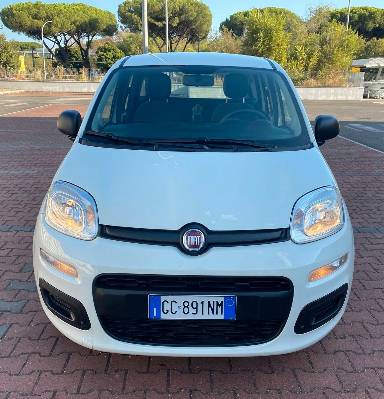 FIAT PANDA EASY 1.2cc IDONEA NEOPATENTATI