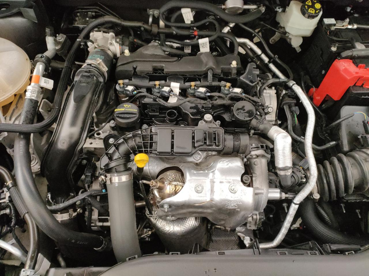 FORD Kuga III - Kuga 1.5 ecoblue ST-Line 2wd 120cv auto