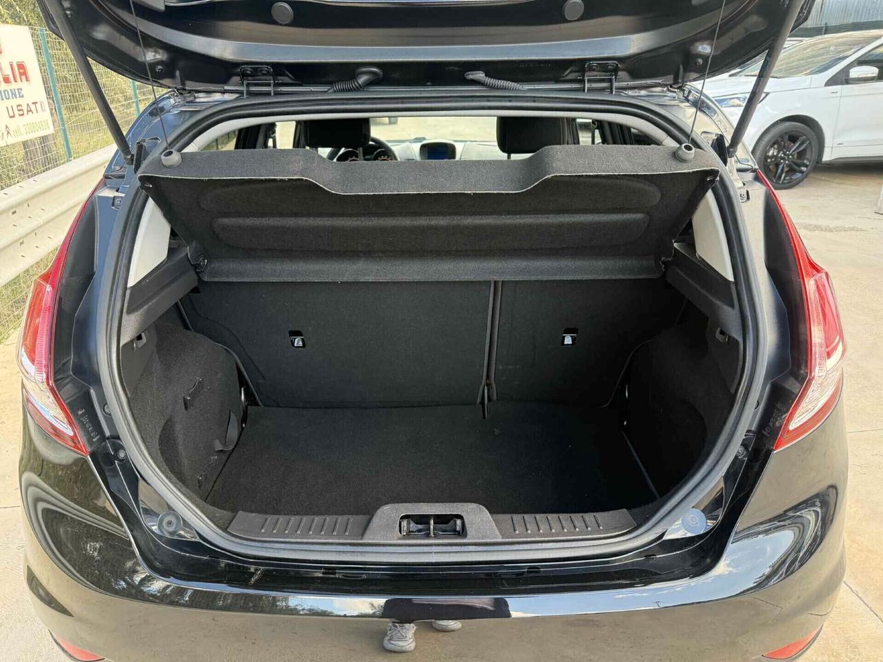 Ford Fiesta 1.4 5p. Bz.- GPL Titanium 163000KM 2013