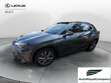 Lexus UX Hybrid Design