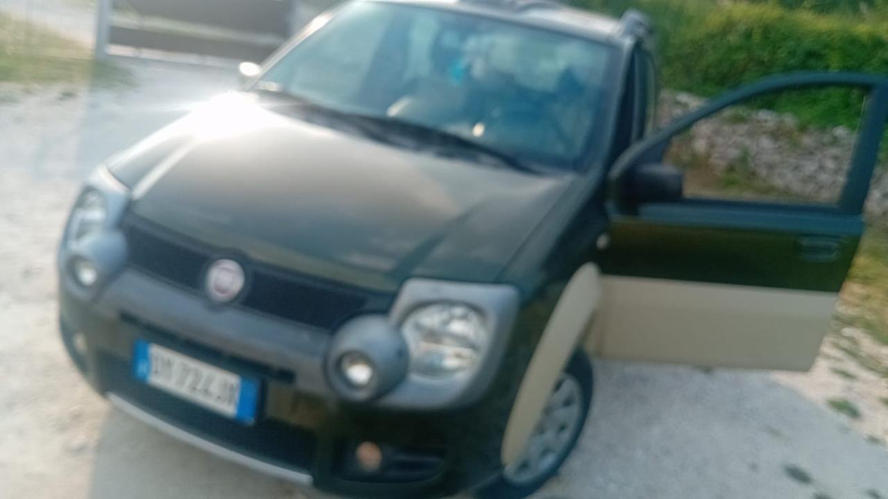 Fiat Panda 1.2 Cross Natural Power
