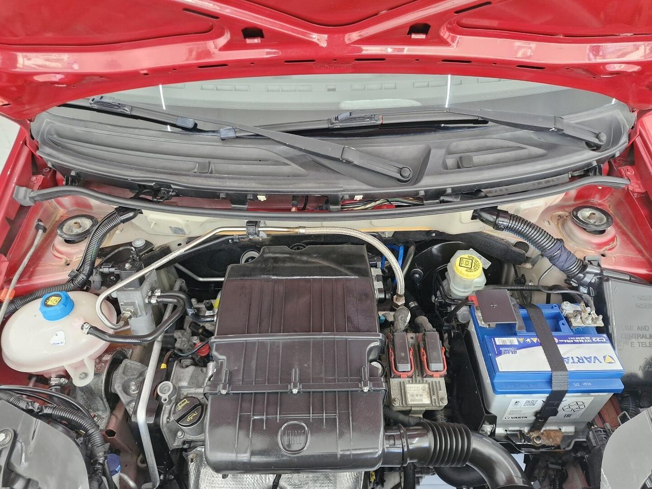 FIAT PANDA 1.4 CLIMBING NATURAL POWER ANNO 12/2011