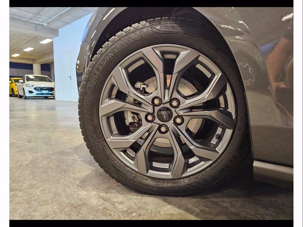 FORD Focus 1.5 ecoblue st-line 115cv auto del 2024