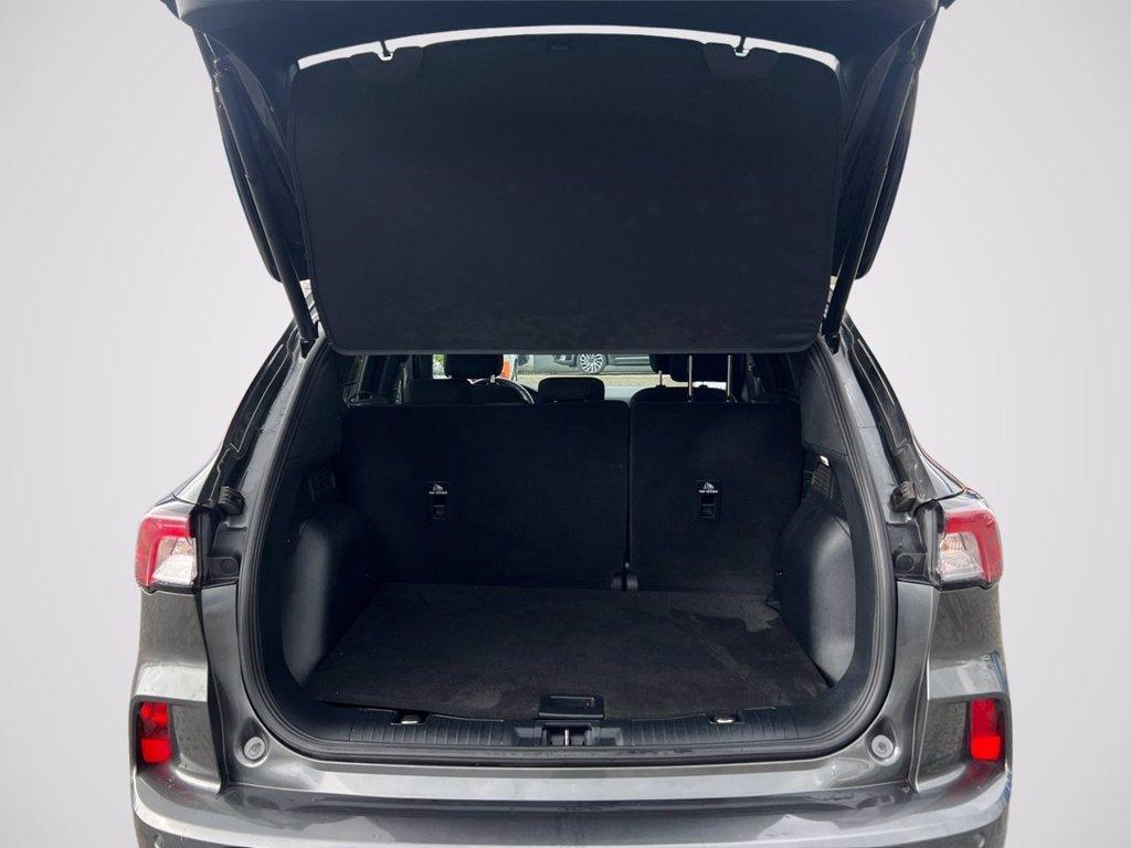 FORD Kuga 1.5 EcoBoost 150 CV 2WD ST-Line del 2023