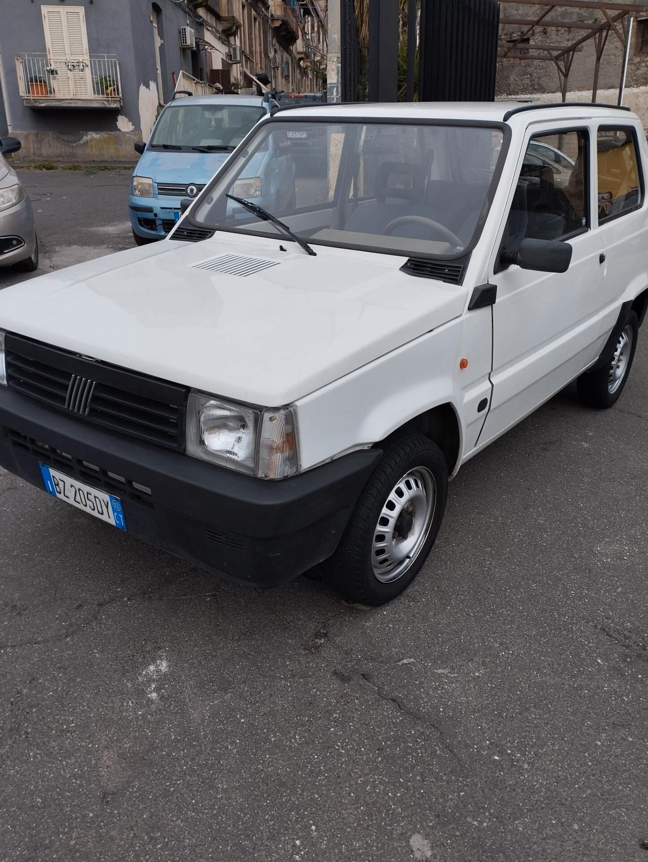 Fiat Panda 1100 i.e. cat Young