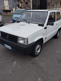 Fiat Panda 1100 i.e. cat Young