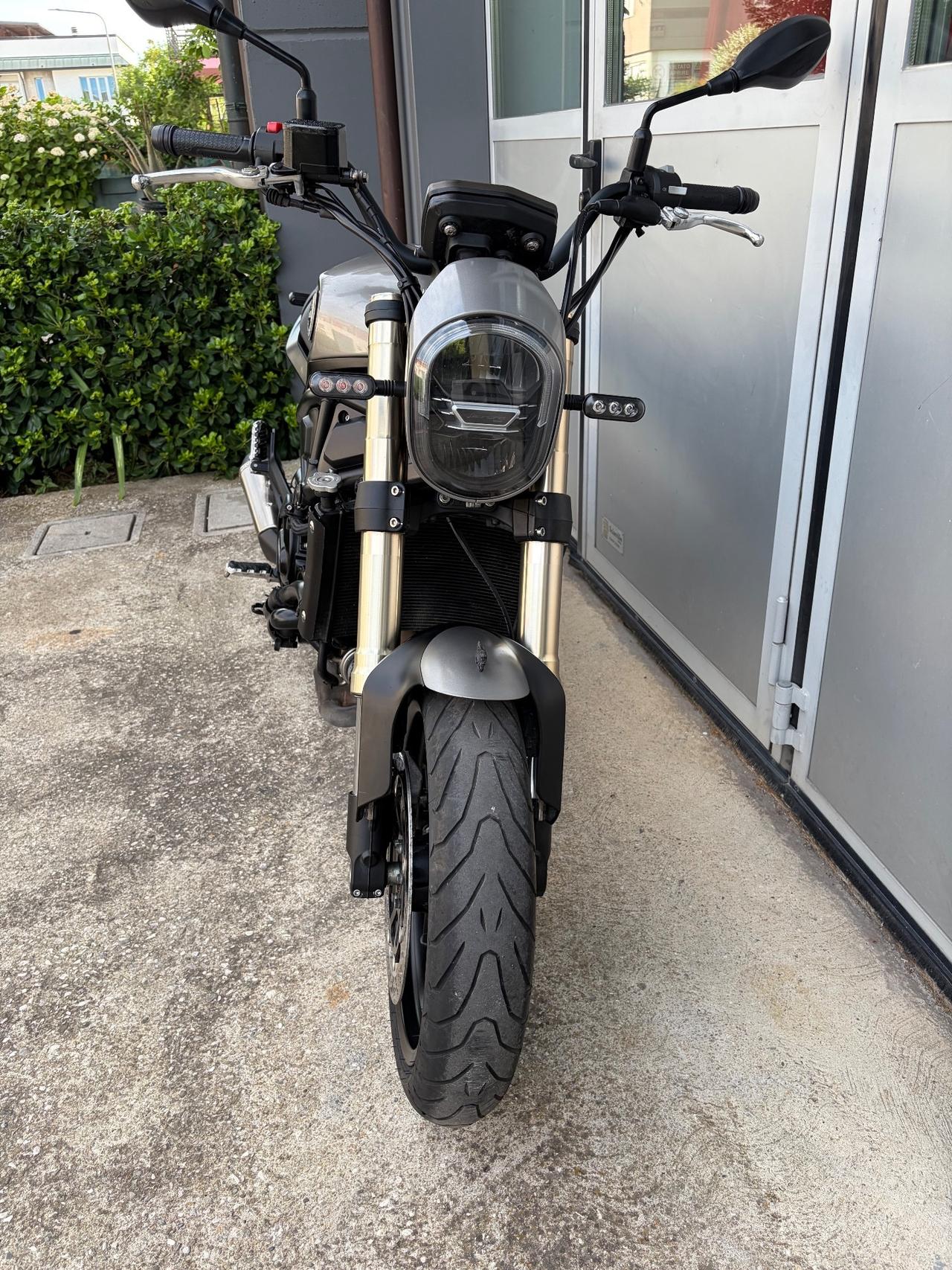 Benelli Leoncino 800