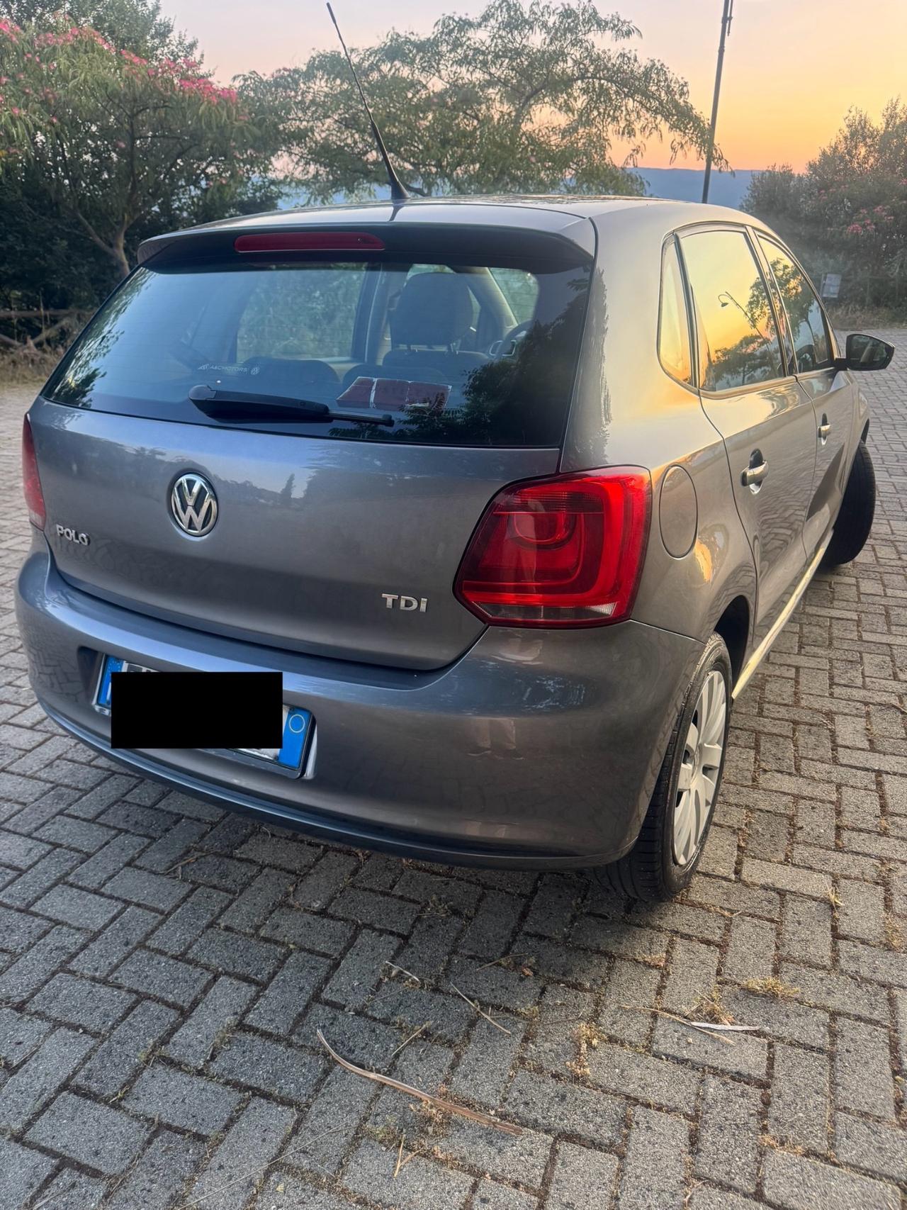 Volkswagen Polo 1.2 TDI 75Cv 2014