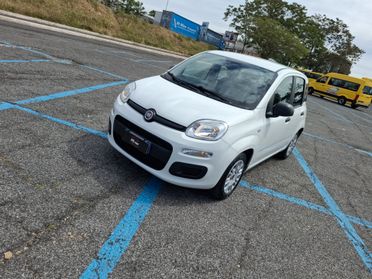Fiat Panda 1.0 FireFly S&S Hybrid NOLEGGIO