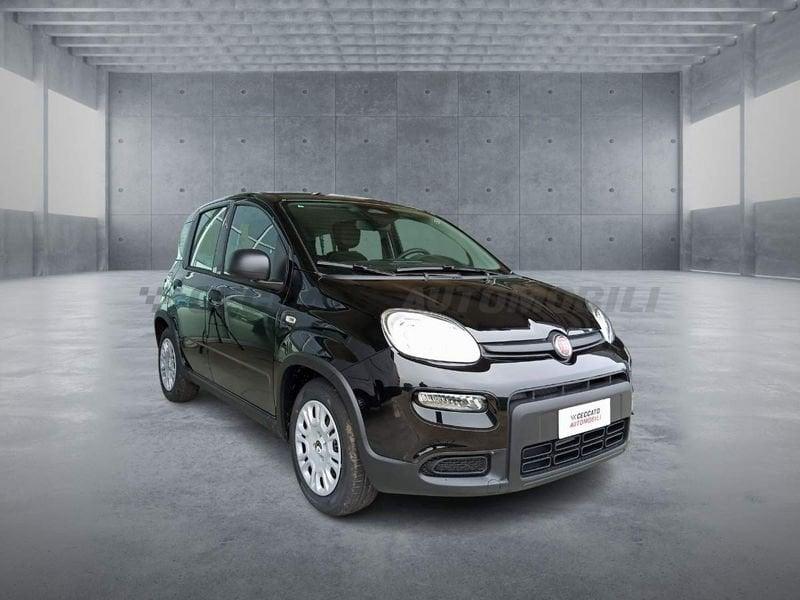 FIAT Panda 1.0 70cv Hybrid Panda