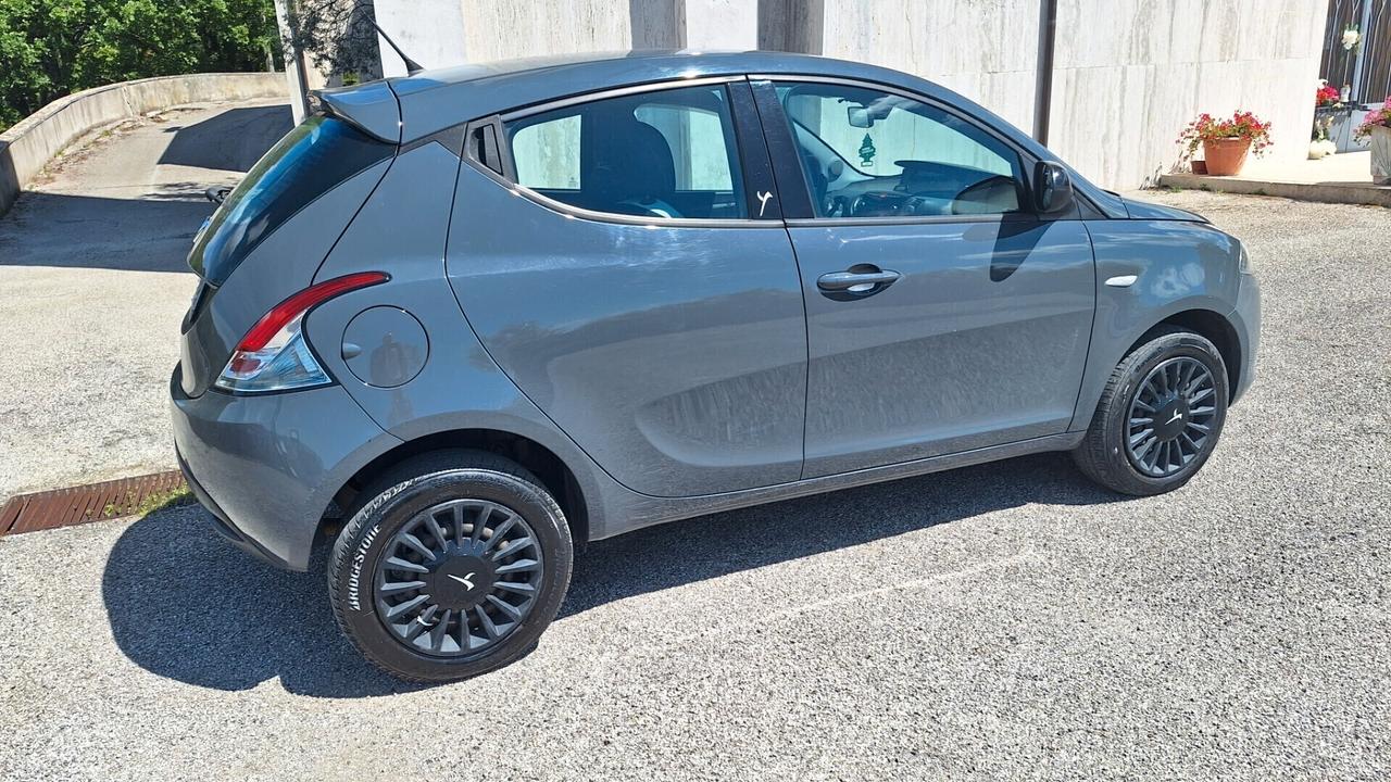 Lancia Ypsilon 0.9 TwinAir 85 CV 5 porte Metano Ecochic Elefantino