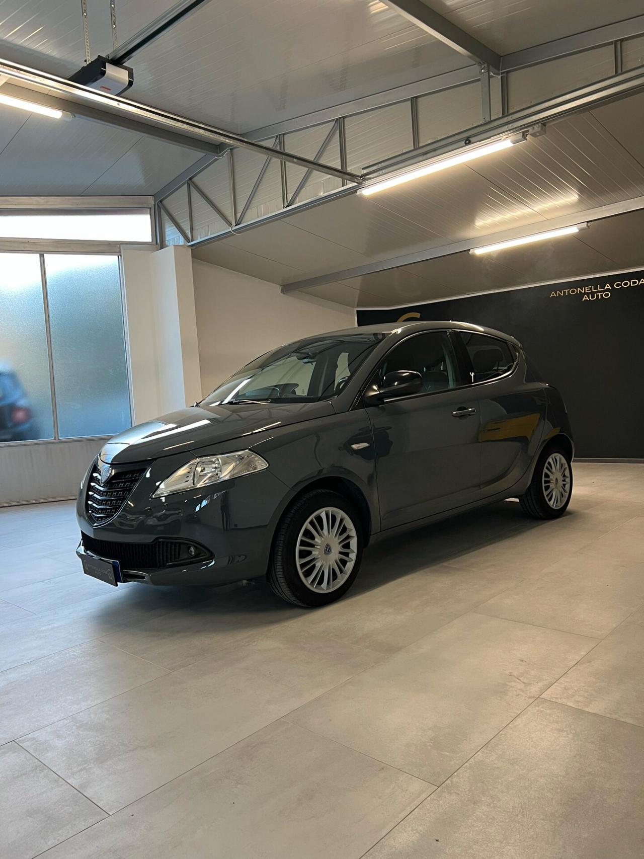 Lancia Ypsilon 1.3 MJT 16V 95 CV 5 porte S&S Elefantino