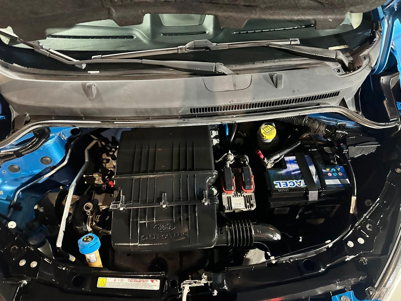 Ford Ka Ka+ 1.2 8V 69CV