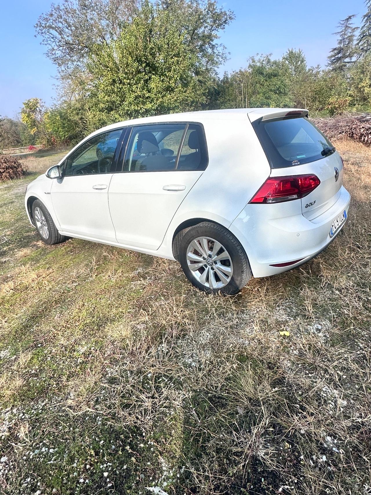 Volkswagen Golf 1.4 TGI 5p. Comfortline BlueMotion