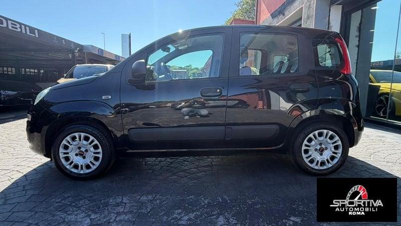 FIAT Panda RATA MENSILE 134,00 EURO 1.2 69cv E6 Pop