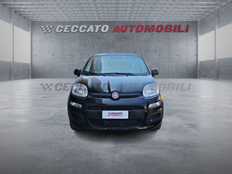 FIAT Panda Panda 1.0 firefly hybrid s&s 70cv 5p.ti