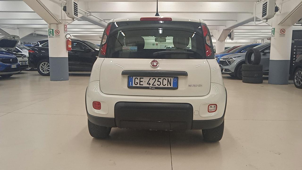 FIAT Panda III 2021 - Panda 1.0 firefly hybrid Sport s&s 70cv