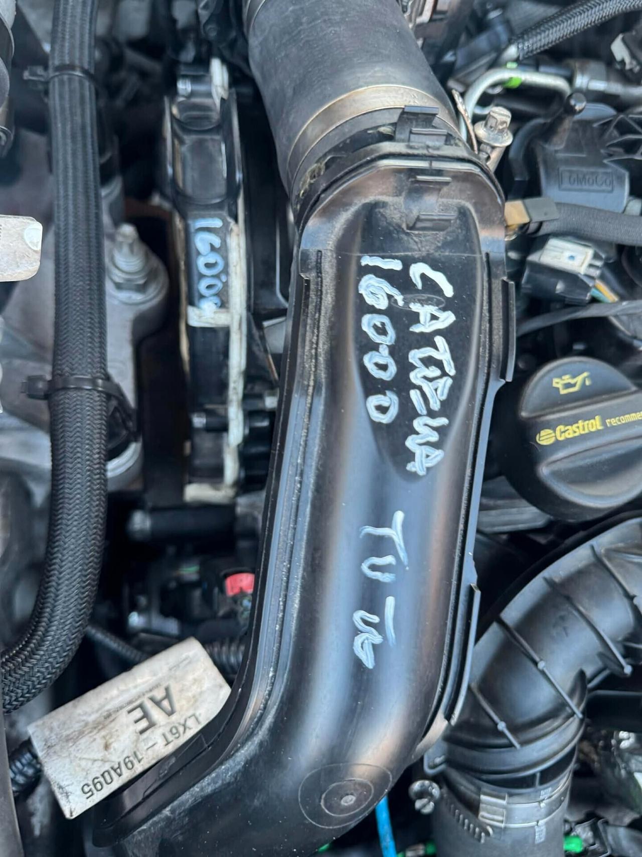 Ford Kuga 2020 1.5 Diesel Automatica 2WD ST-Line