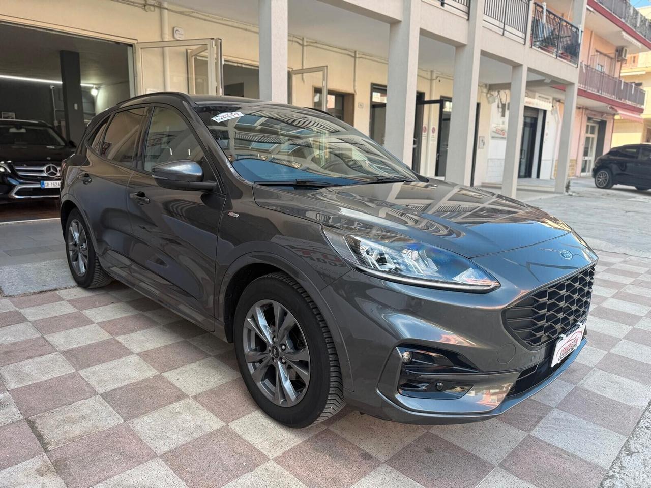 Ford Kuga 1.5 EcoBlue 120 CV 2WD ST-Line