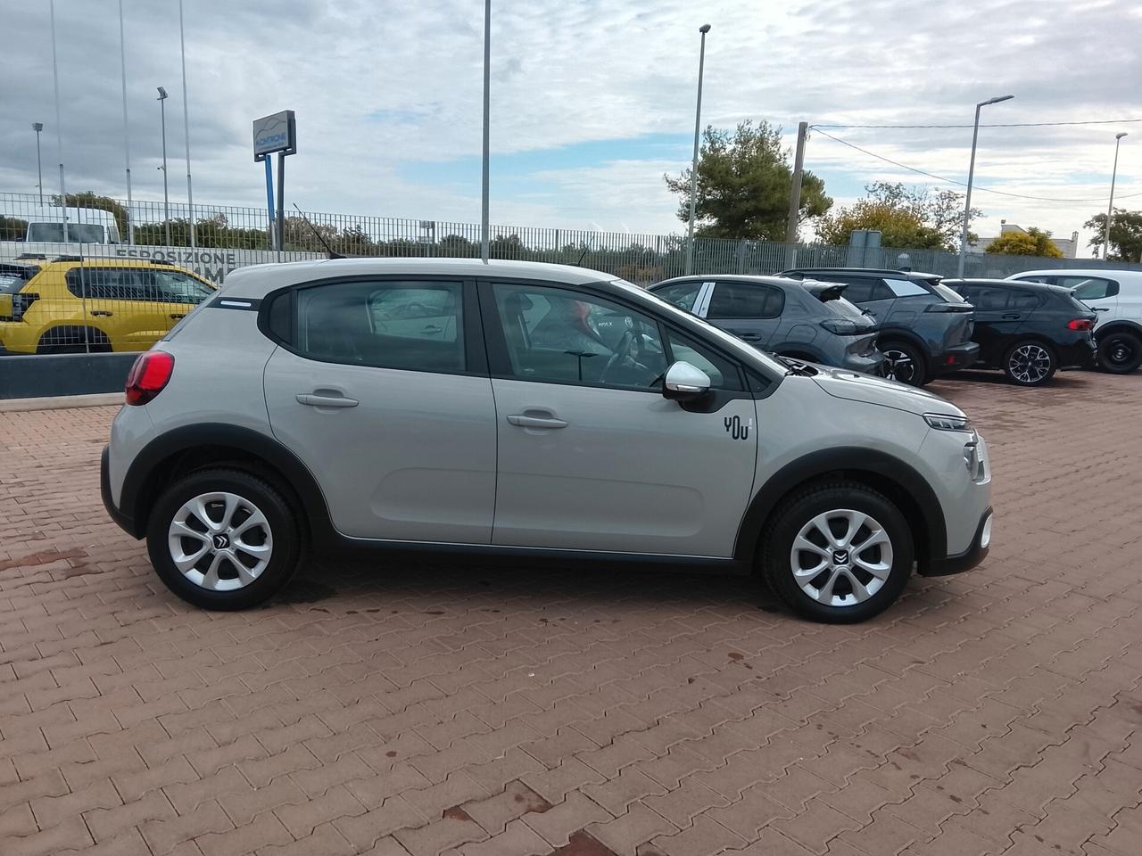 Citroen C3 BlueHDi 100 S&S You