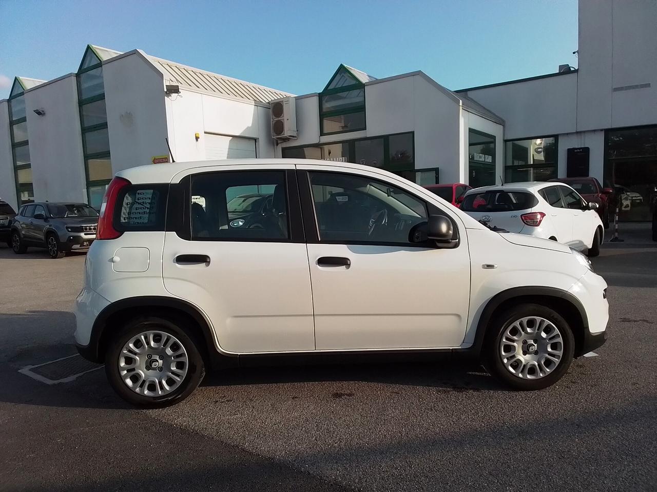 Fiat Panda 1.0 FireFly S&S Hybrid Pandina