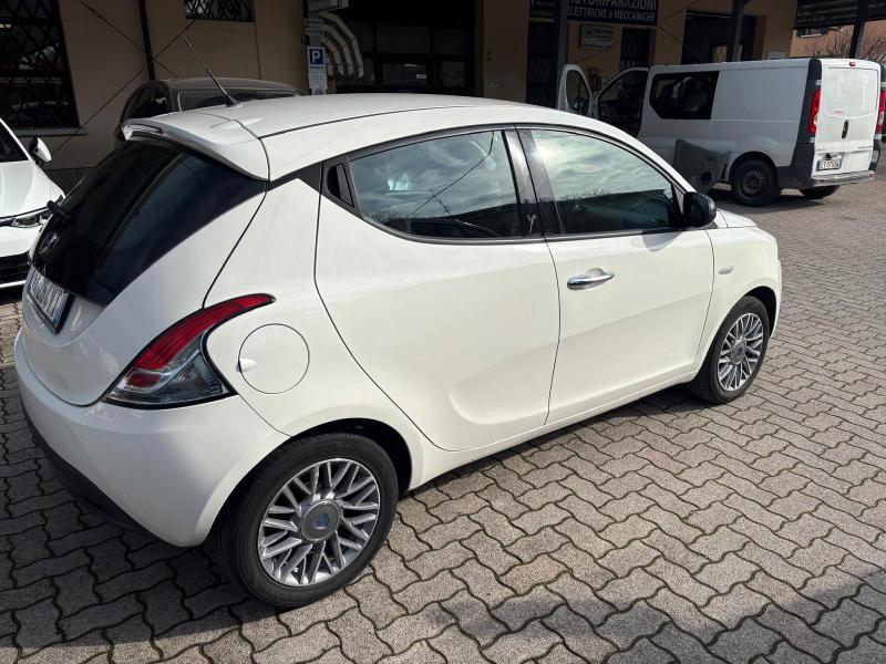 Lancia Ypsilon 5 Porte Ypsilon 1.2 8v Platinum 69cv OK NEOPATENTATO