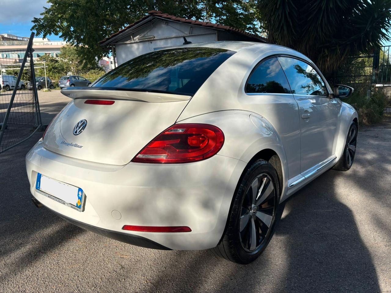 VOLKSWAGWEN MAGGIOLINO 1.6 TDi Design - 2012