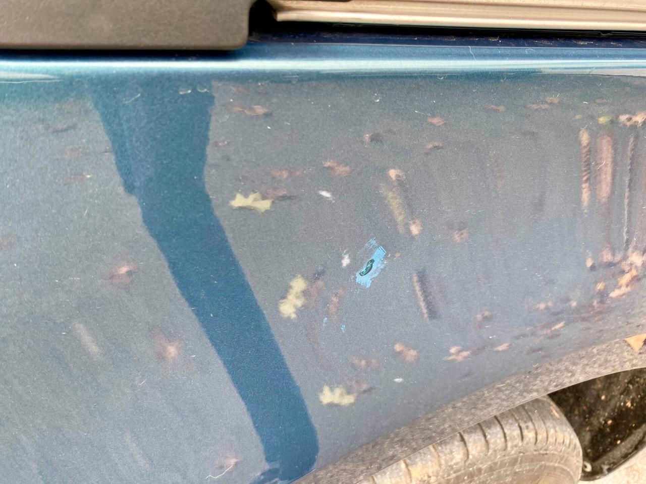 Volkswagen Caddy Maxi 2.0 TDI 102cv N1 AUTOCARRO