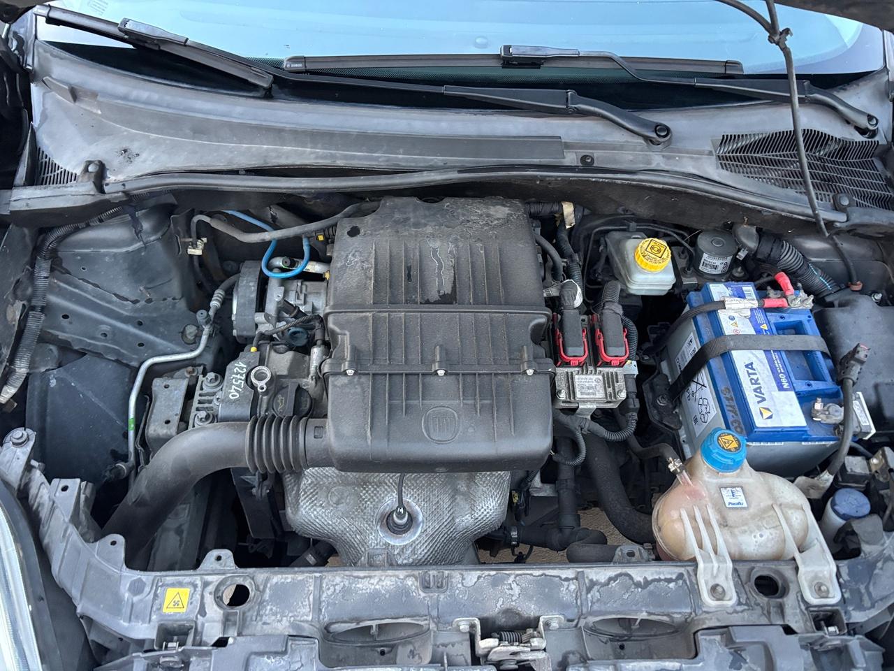 Fiat Punto Evo 1.2 5 porte Dynamic