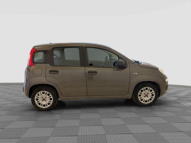 FIAT Panda Panda 1.0 FireFly Hybrid