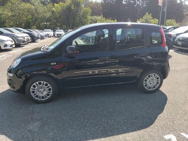 FIAT Panda New 1.0 70cv Hybrid Panda