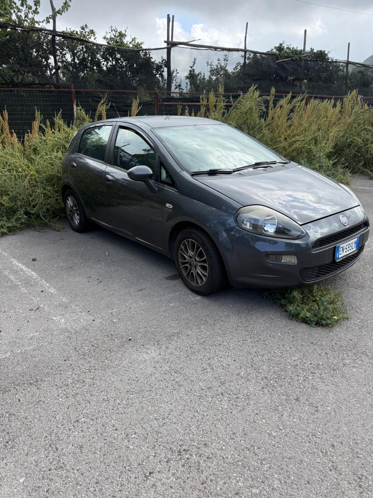 Fiat Punto Evo 1.3 Mjt 95 CV DPF 5 porte S&S Dynamic