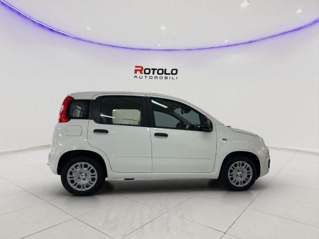 FIAT Panda 1.0 FireFly S&S Hybrid SENZA FINANZIAMENTO