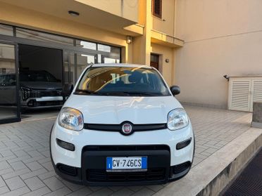 Fiat Panda 1.0 FireFly S&S Hybrid Icon -2024