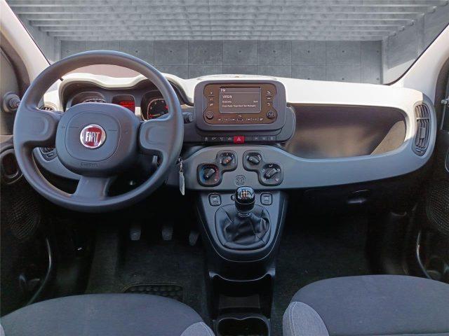 FIAT Panda 3ª serie 1.0 FireFly S&S Hybrid City Life