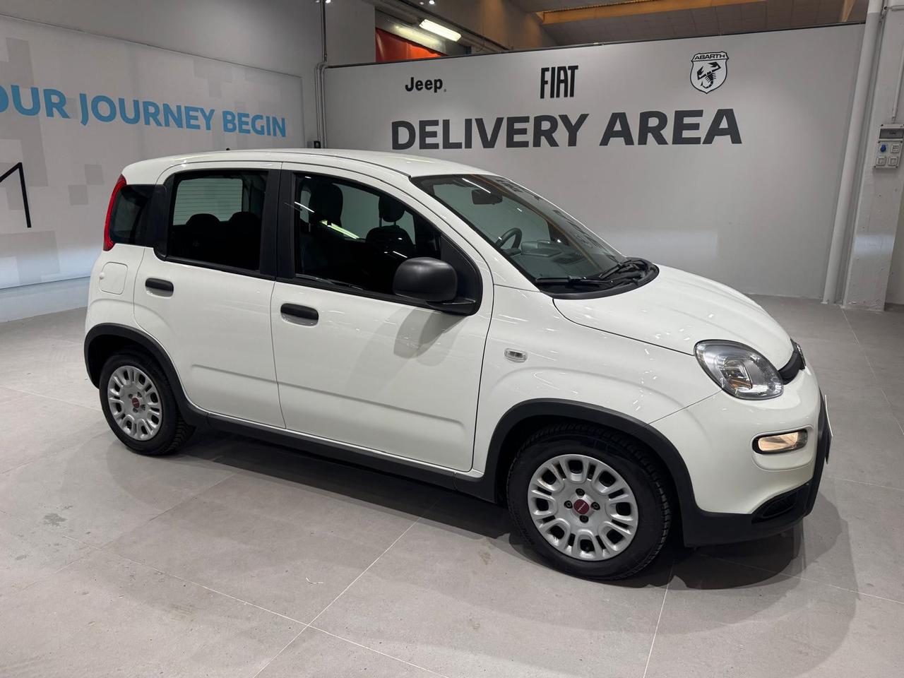 FIAT Panda III 2021 - Panda 1.0 firefly hybrid s&s 70cv 5p.ti