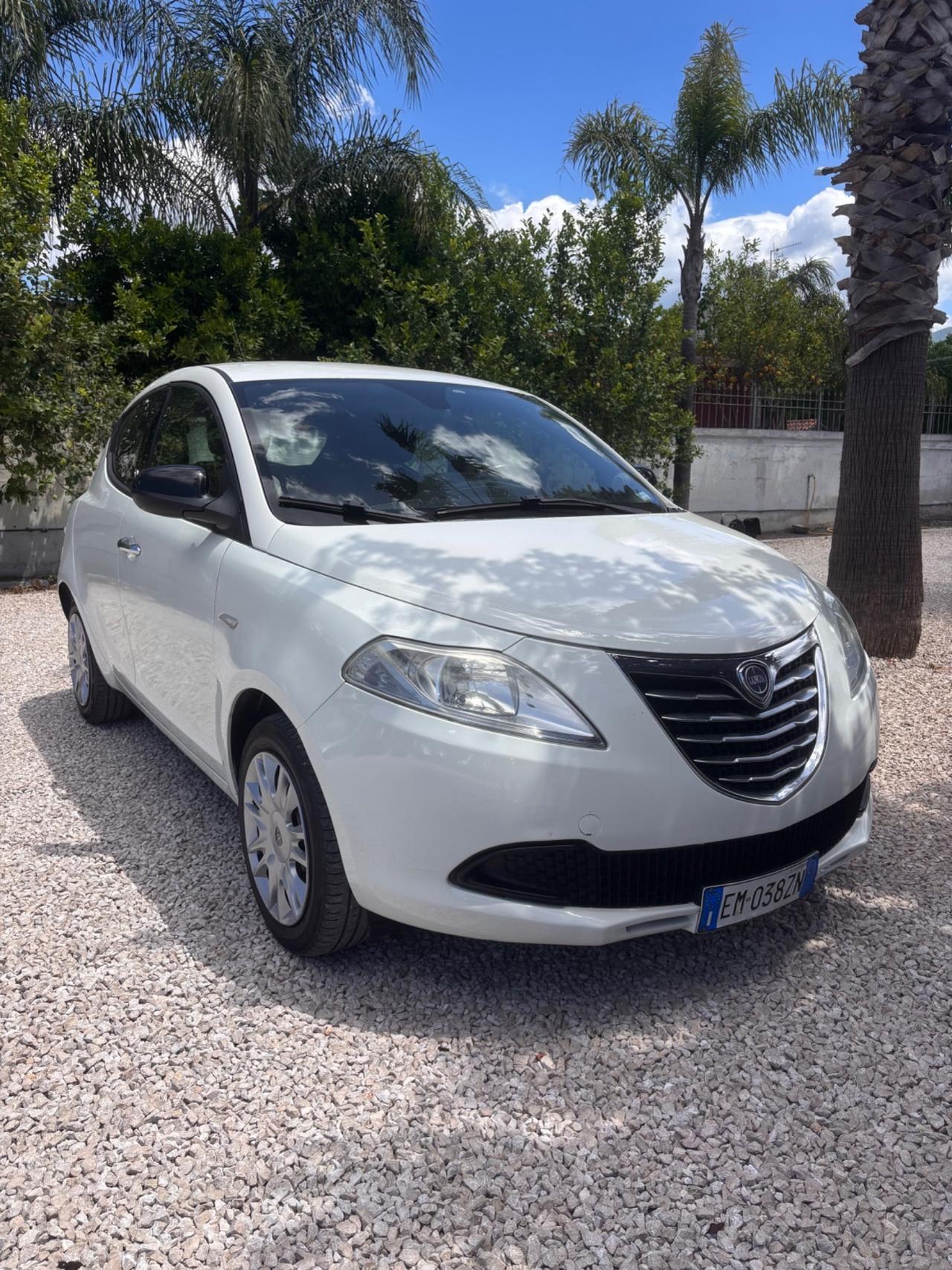 Lancia Ypsilon 1.2 69 CV 5 porte S&S Platinum