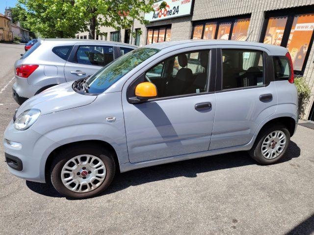 FIAT Panda 1.2 Pop PREZZO REALE - NEOPATENTATI